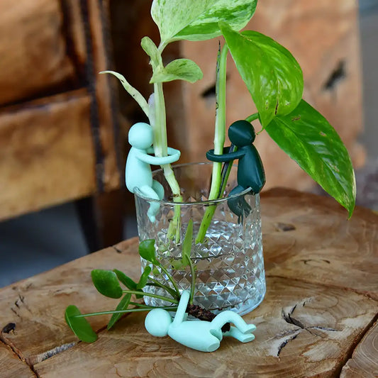 3er Set Green Me Up Buddy Pflanzenstütze für Ableger