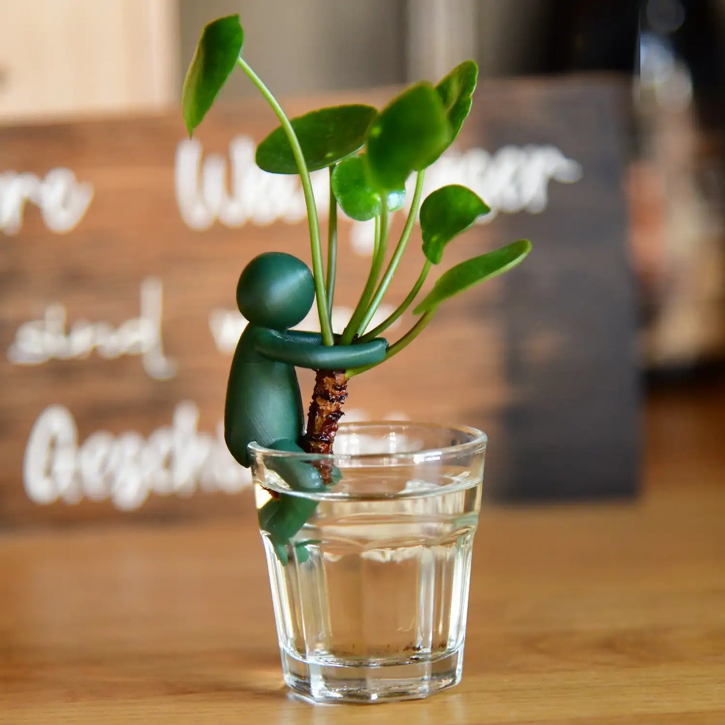 Green Me Up Buddy, eine Pflanzenstütze für deine Stecklinge