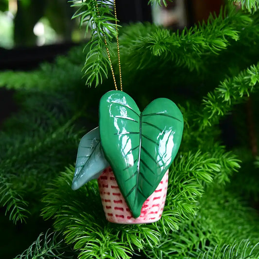 Green Week Geschenk: Tannenbaumschmuck Zimmerpflanze