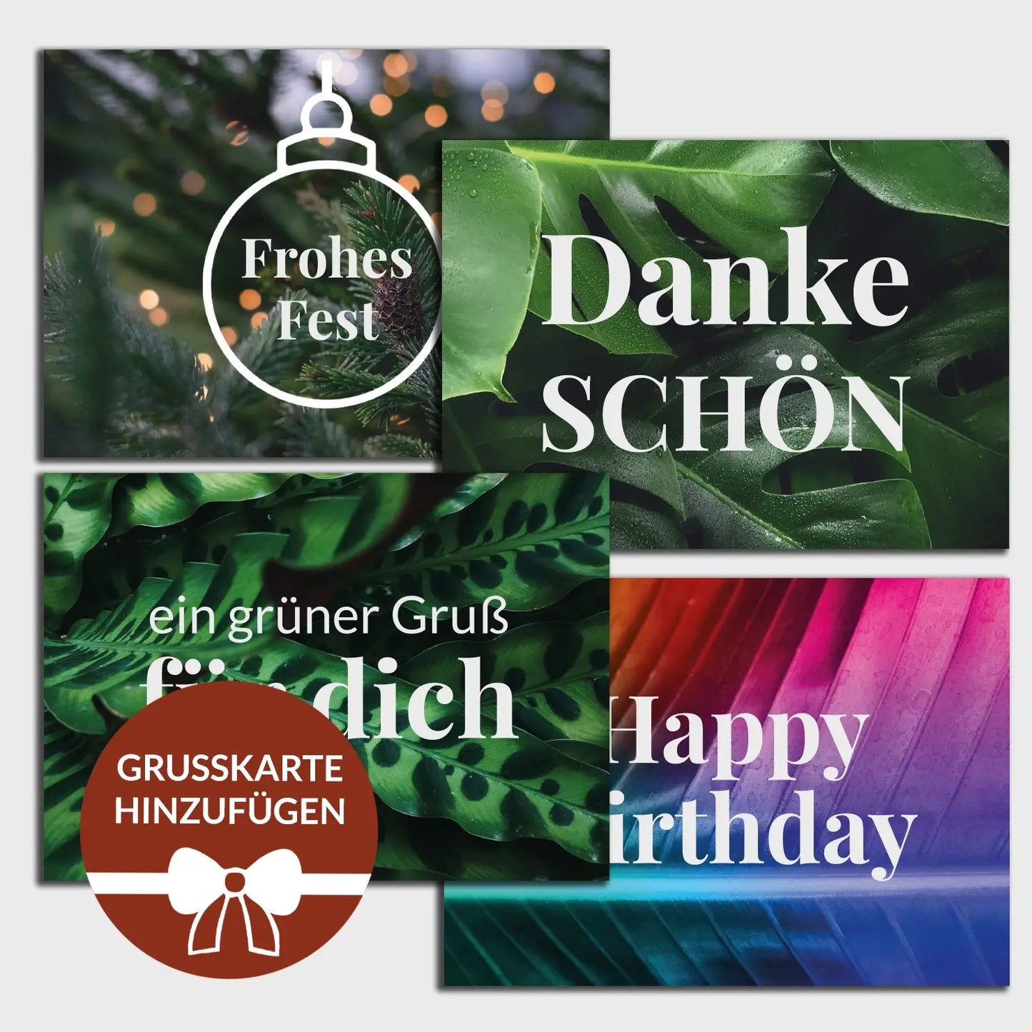 Geschenkset Hängepflanze zu Weihnachten