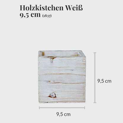 3er Set Holzkistchen 10cm