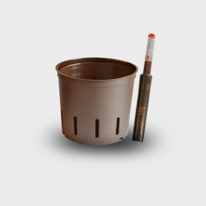 Hydrokultur Umtopfset