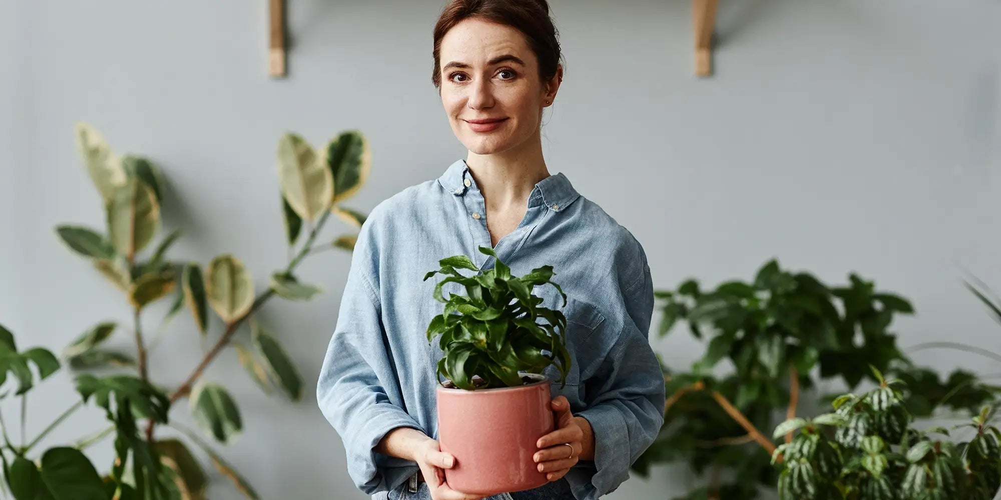 Lächelnde Frau mit Dracaena Pflanze in der Hand