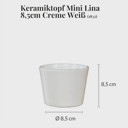 3er Set Keramiktopf Mini Lina 10cm Creme Weiß