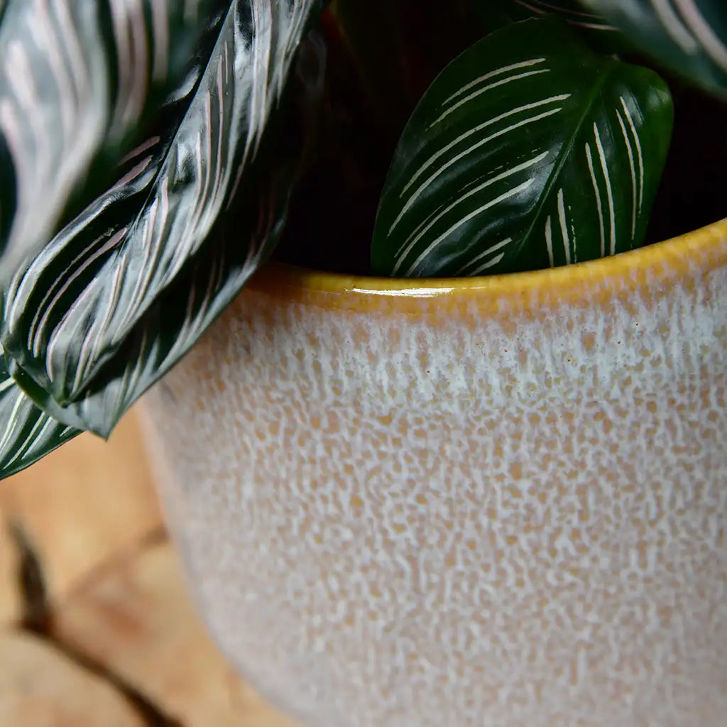 Detail vom modernen Keramiktopf Tupelo in Eierschalenfarbe mit Sprenkelmuster 