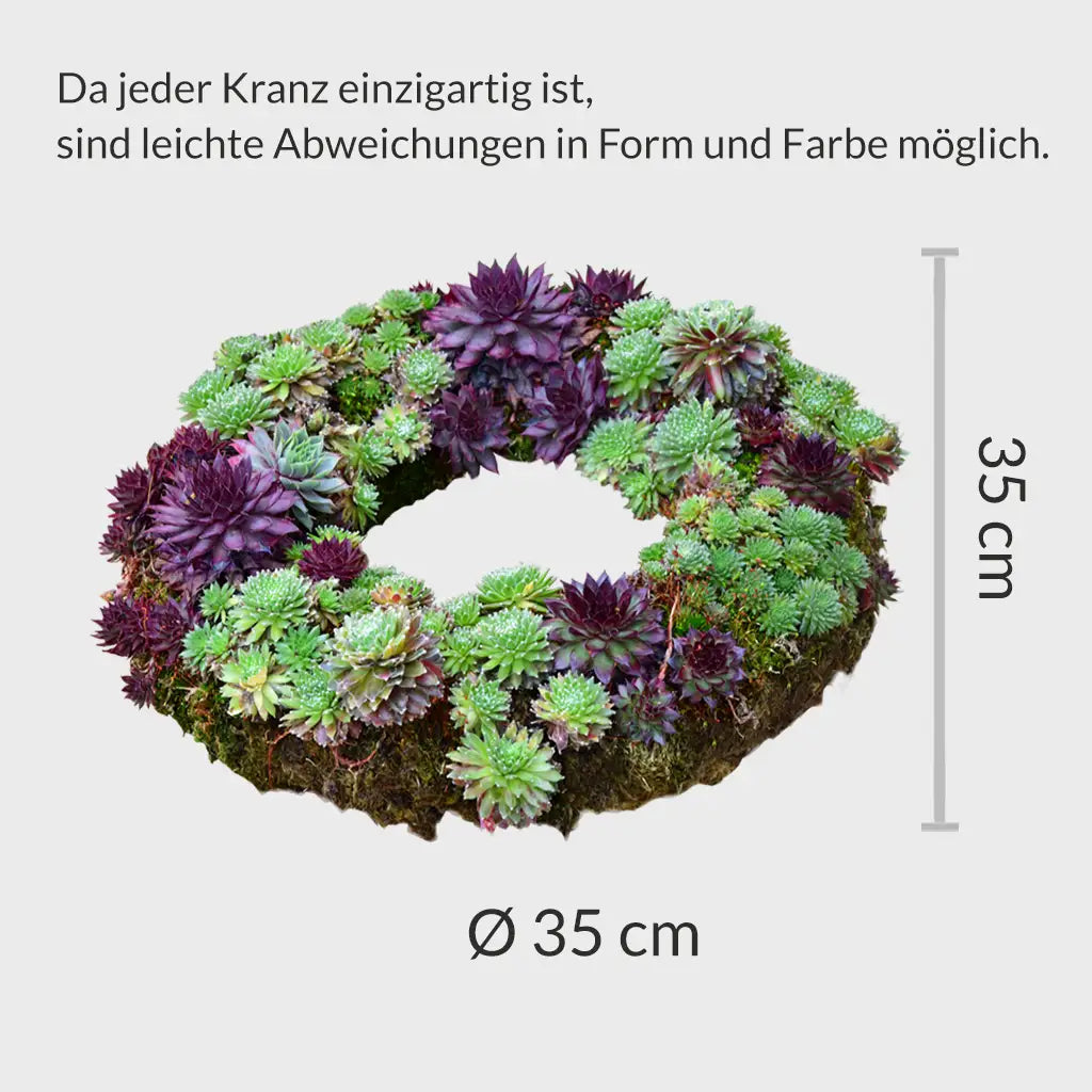 Adventskranz aus Moos und Sukkulenten Ø 35cm