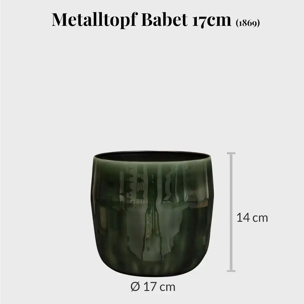 moderner Metalltopf in dunklegrün 17cm