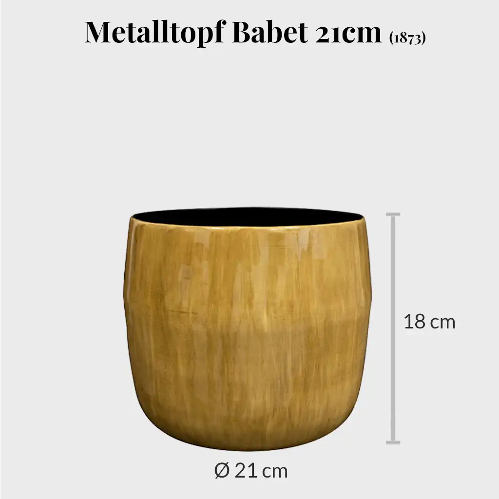 Metalltopf Babet 21cm