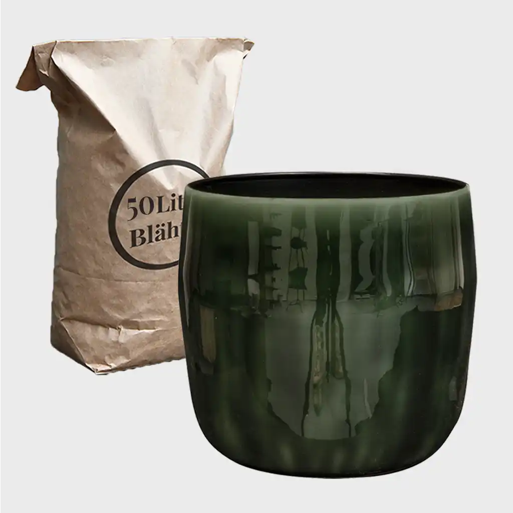 grünen Metalltopf Babet mit Blähton für Hydrokulturpflanzen kaufen