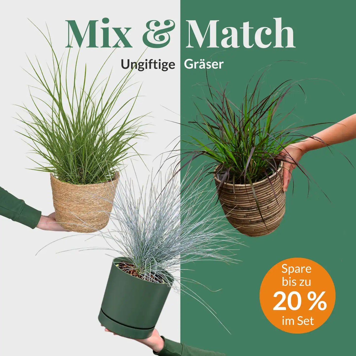 Mix & Match Balkongräser, 20-80cm