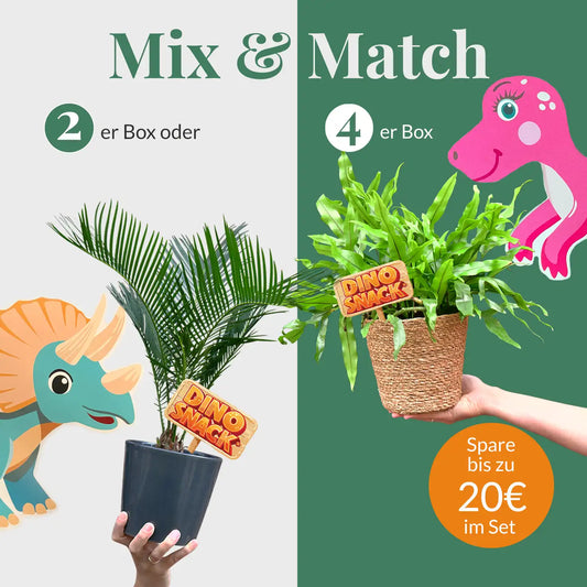 Mix & Match DinoSnack® Pflanzenset