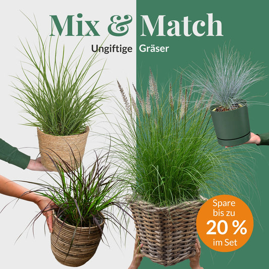 Mix & Match Balkongräser, 20-80cm