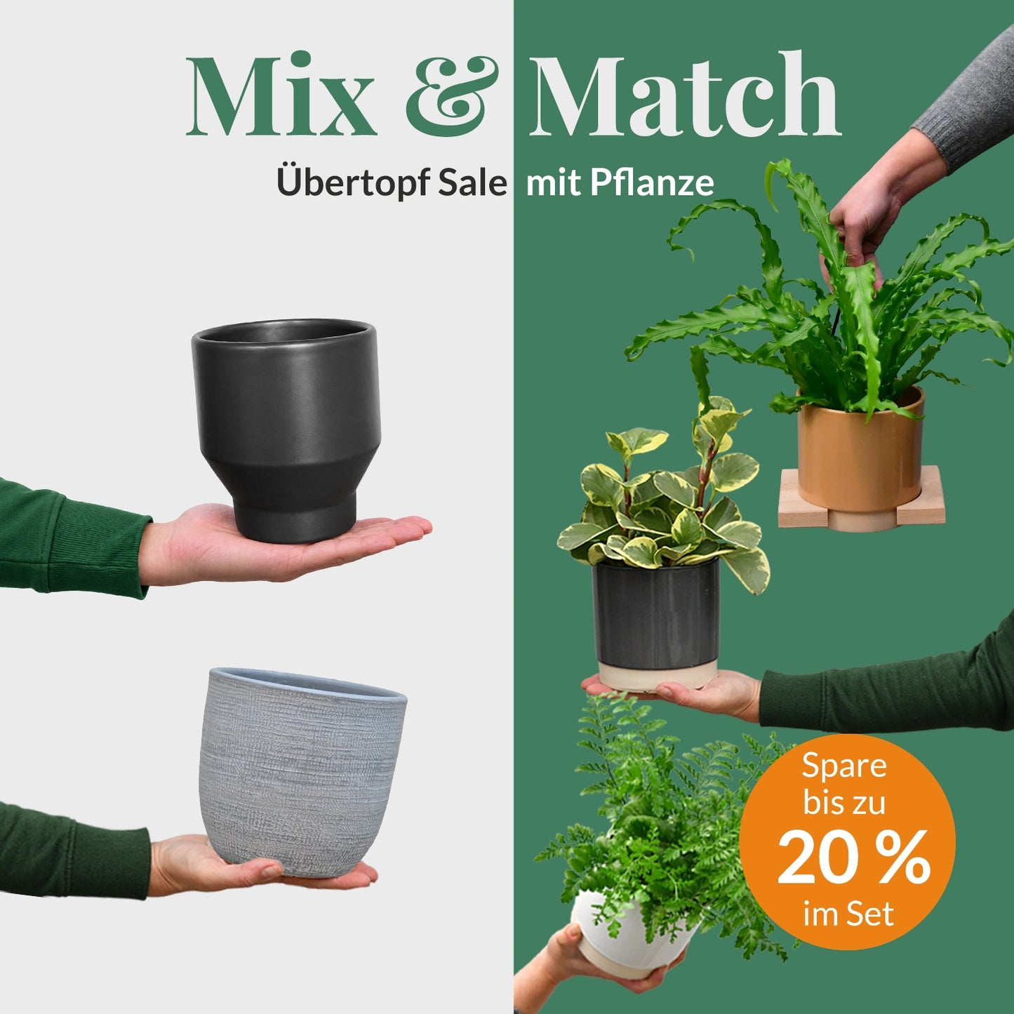 Mix & Match Übertopf Sale mit passender Pflanze