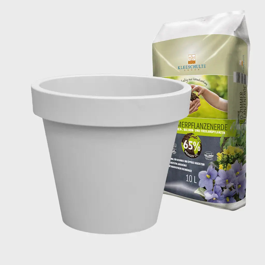Pflanzkübel Outdoor 40cm mit Erde