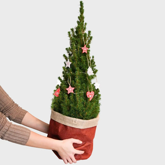 Pop Up Weihnachtsbaum geschmückt