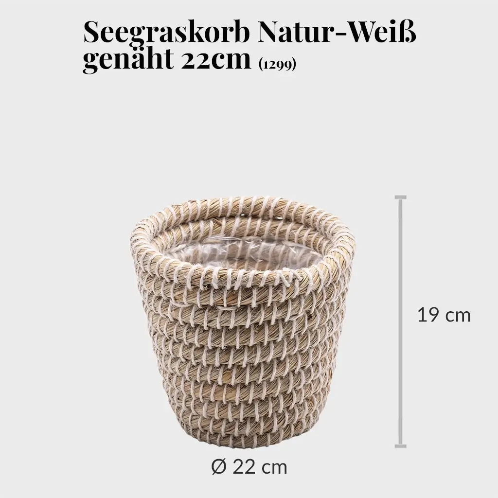 Seegraskorb Natur-Weiß genäht 22cm