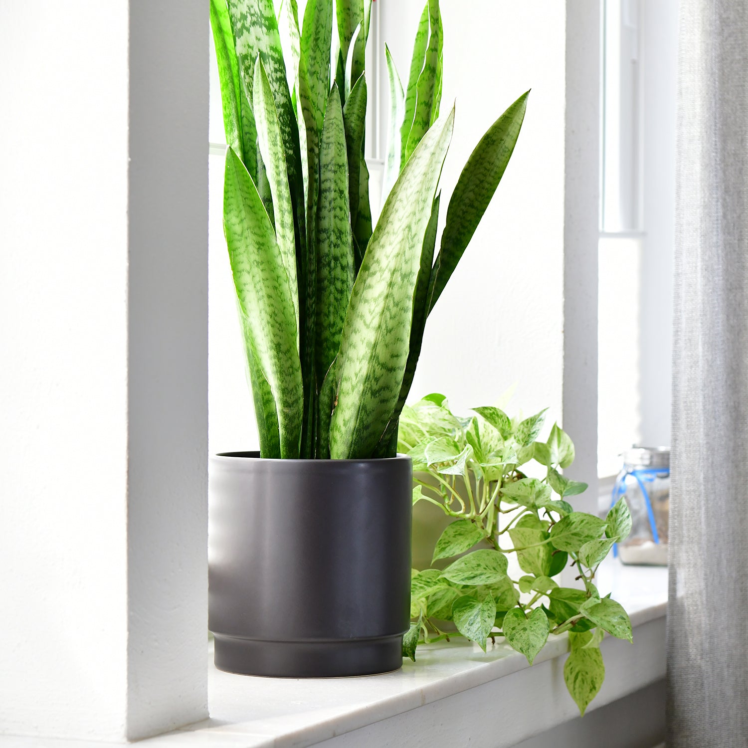 Keramiktopf 21cm Durchmesser Schwarz für Zimmerpflanzen