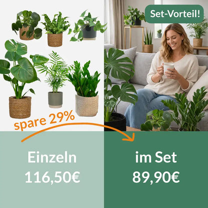 6er Box Grüne Erstausstattung