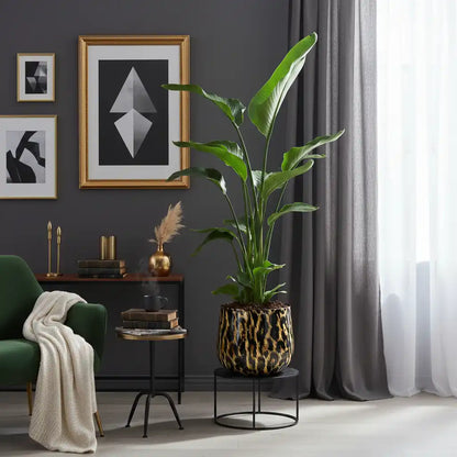 hochwertiger Keramik-Übertopf mit Panther Print und großer Strelitzie in einem extravaganten Zimmer