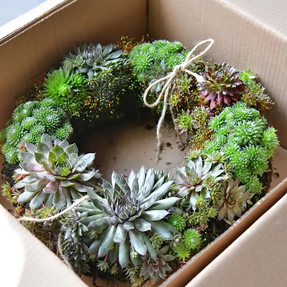 Trauerkranz mit Schleife Modern Ø 25cm