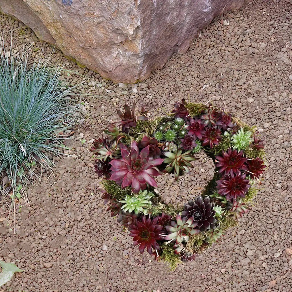 Grabschmuck Sukkulenten Herz Ø 25cm