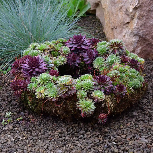 Langlebiger Grabschmuck Kranz Ø 35cm