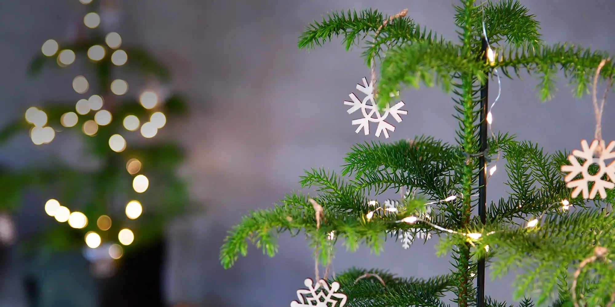 Geschmückte Zimmertanne als Zimmertanne für nachhaltige Weihnachten