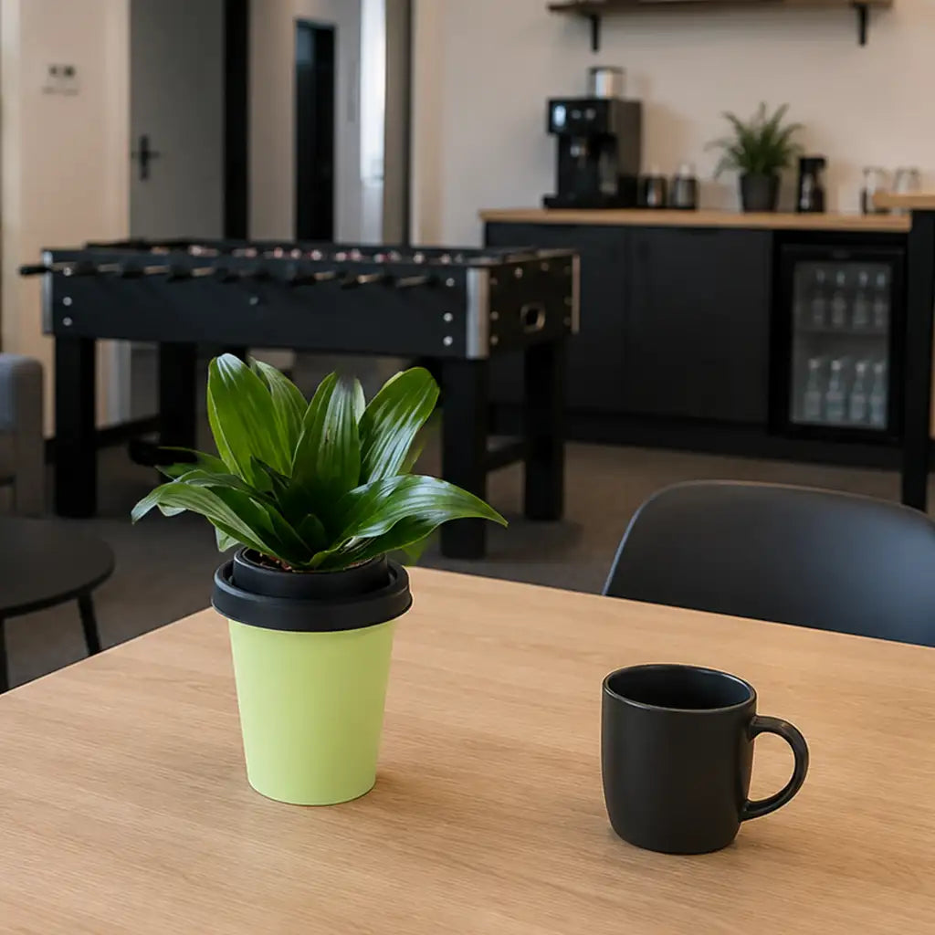 Mix & Match ggreeno® Tischpflanzen