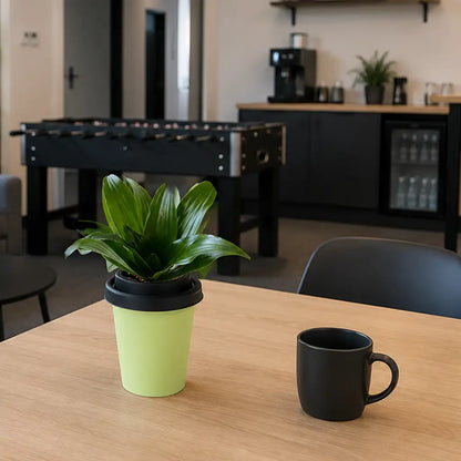 Mix & Match ggreeno® Tischpflanzen