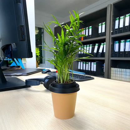ggreeno® Palme in Sand