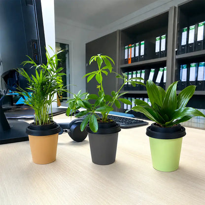3er Set ggreeno®