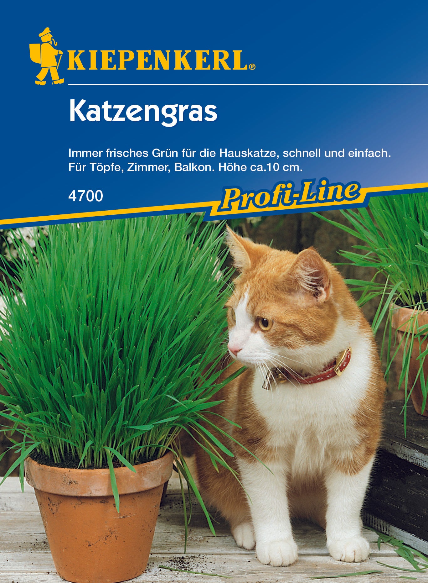 Katzengrassamen