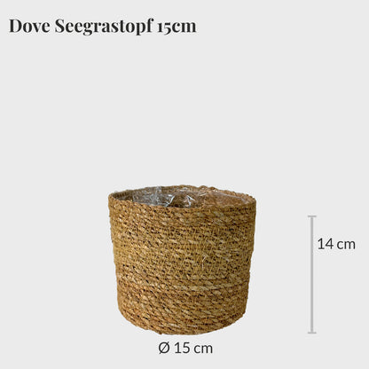 Dove Seegrastopf 15cm