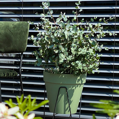 Loft Pflanzkübel Set Duftender Eukalyptus