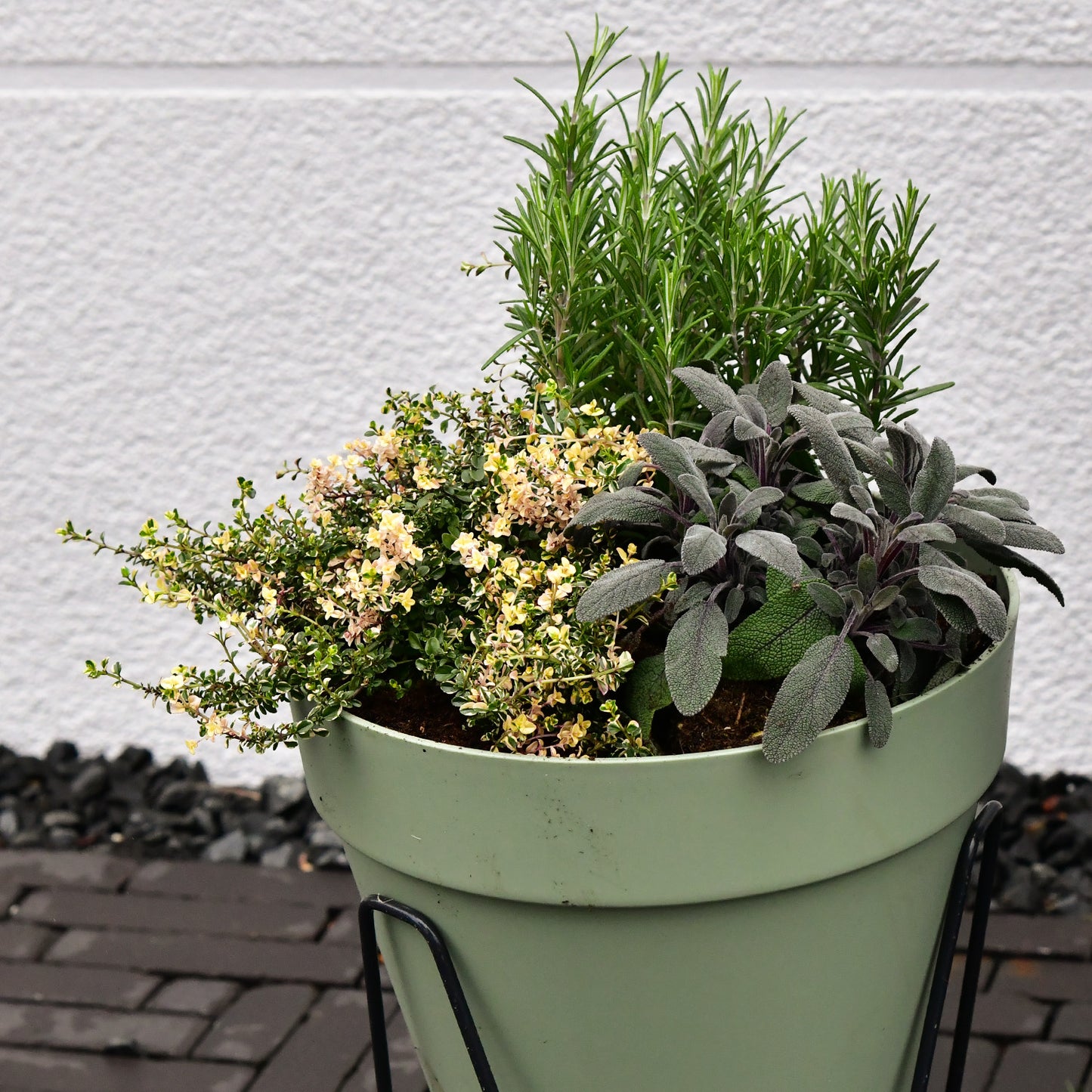 Elho Loft Pflanzkübel 30cm